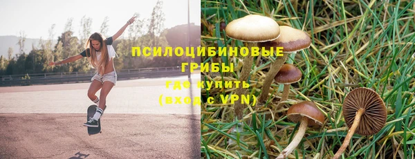 амф Заводоуковск
